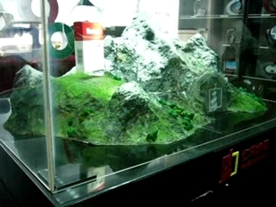 P1010012