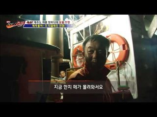 한치 vs 은갈치! 한치의 엄청난 괴력! [뉴 코리아 헌터] 7회 20160721