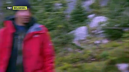 Bear Grylls Hayranlar Doğaya Karşı (Tam Bölüm Açıklama Kısmında)
