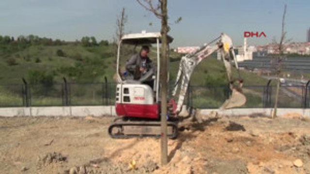 - Istanbul'da Kent Içi ve Tem Yolundaki Fidanlar Büyüdü, Kuzey Marmara Otoyolu Kenarlarındakilerin...