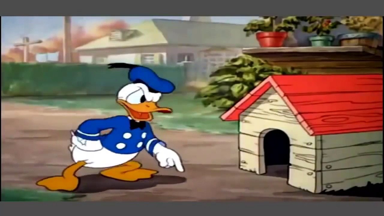 Donald Duck With Chip n Dale and Donald Nephews Cartoons Episodes New Collection # 10_Watch tv series 2017