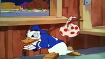 Donald Duck With Chip & Dale and Donald Nephews Cartoons Episodes New Collection # 17_Watch tv series 2017