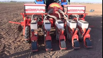 Çiftçiler Şeker Pancarından Umutlu