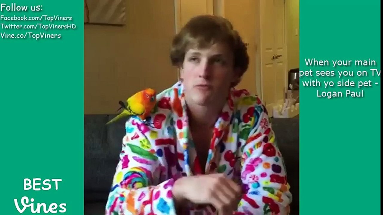 funny vines