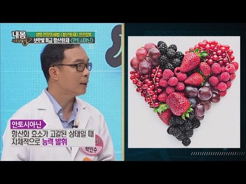 노화방지에 탁월합니다! 보랏빛 항산화제 안토시아닌 [내 몸 사용설명서] 112회 20160722