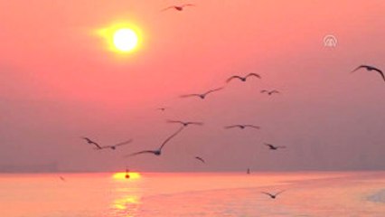 Anadolu Yıldızı-2017 Müşterek Arama Kurtarma Tatbikatı