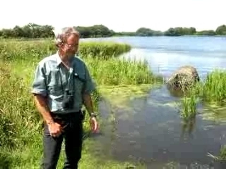 Garguil_VendeeSauvage_Kroll©D.Michonneau