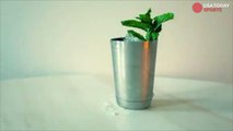 How to make a Mint Julep for the Kentucky Derby