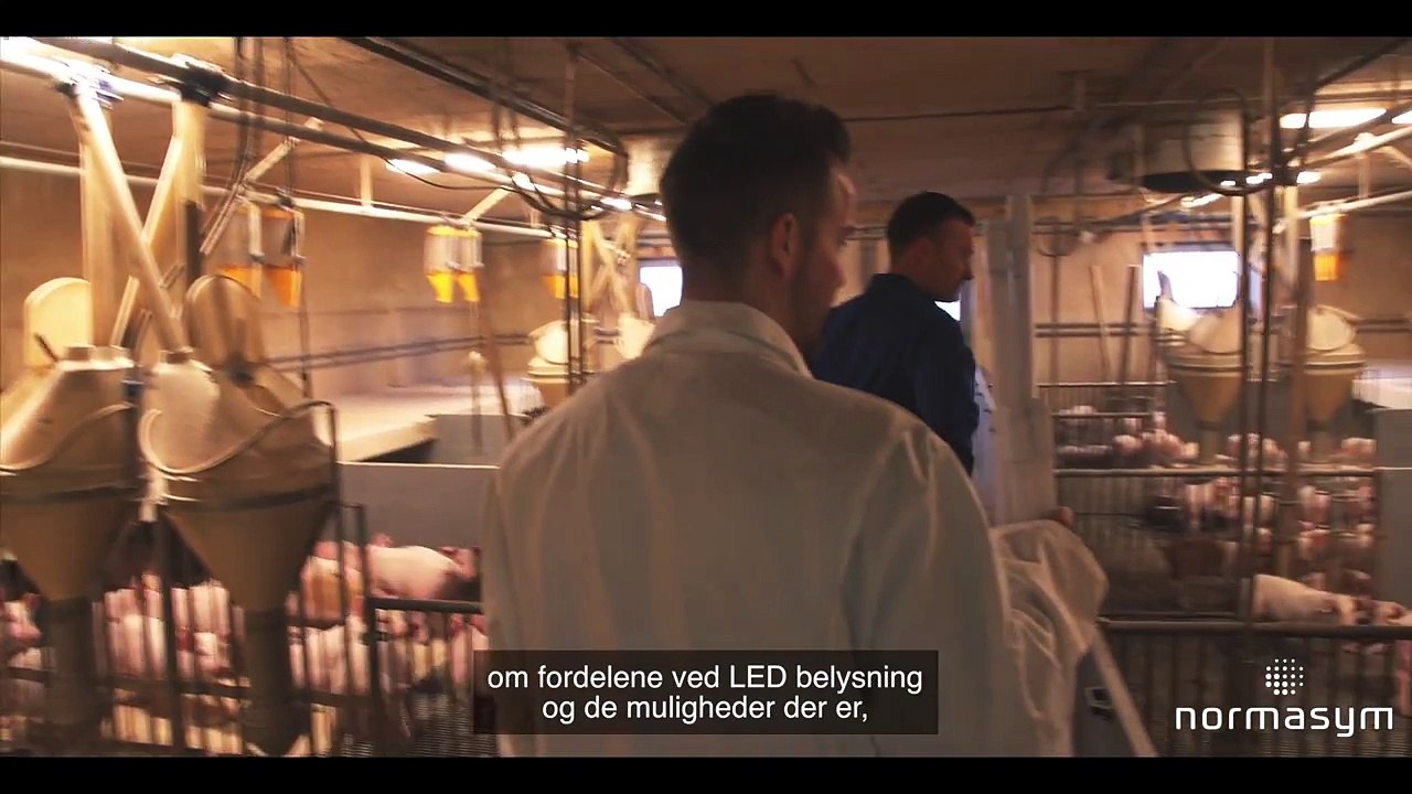 LED lys i landbruget