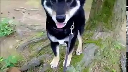 소액결제현금화 소요시간 3분 , 송금 소요시간 1분 휴대폰 소액결제,대출,정보이용료 현금화010↔5516↔2370 카톡:bmw2370 업체명:일성캐시