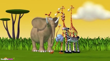 Funny Animals Cartoons Collection _ Roll _ For Babies by HooplakidzTv_Watch tv series