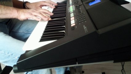 la reine des neiges (  libérée délivrée )  REPRISE psr-s650