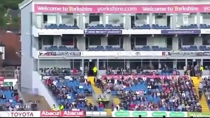 Top 10 Crazy Shots in Cricket History played by the top players