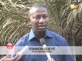 Le PCR de Diembéring appelle l'Etat à la Construction de Route - JT Français - 13 Mai 2012