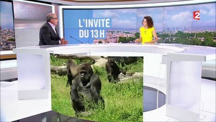 Humanité : "Nous risquons de sombrer dans une paresse intellectuelle et physique"