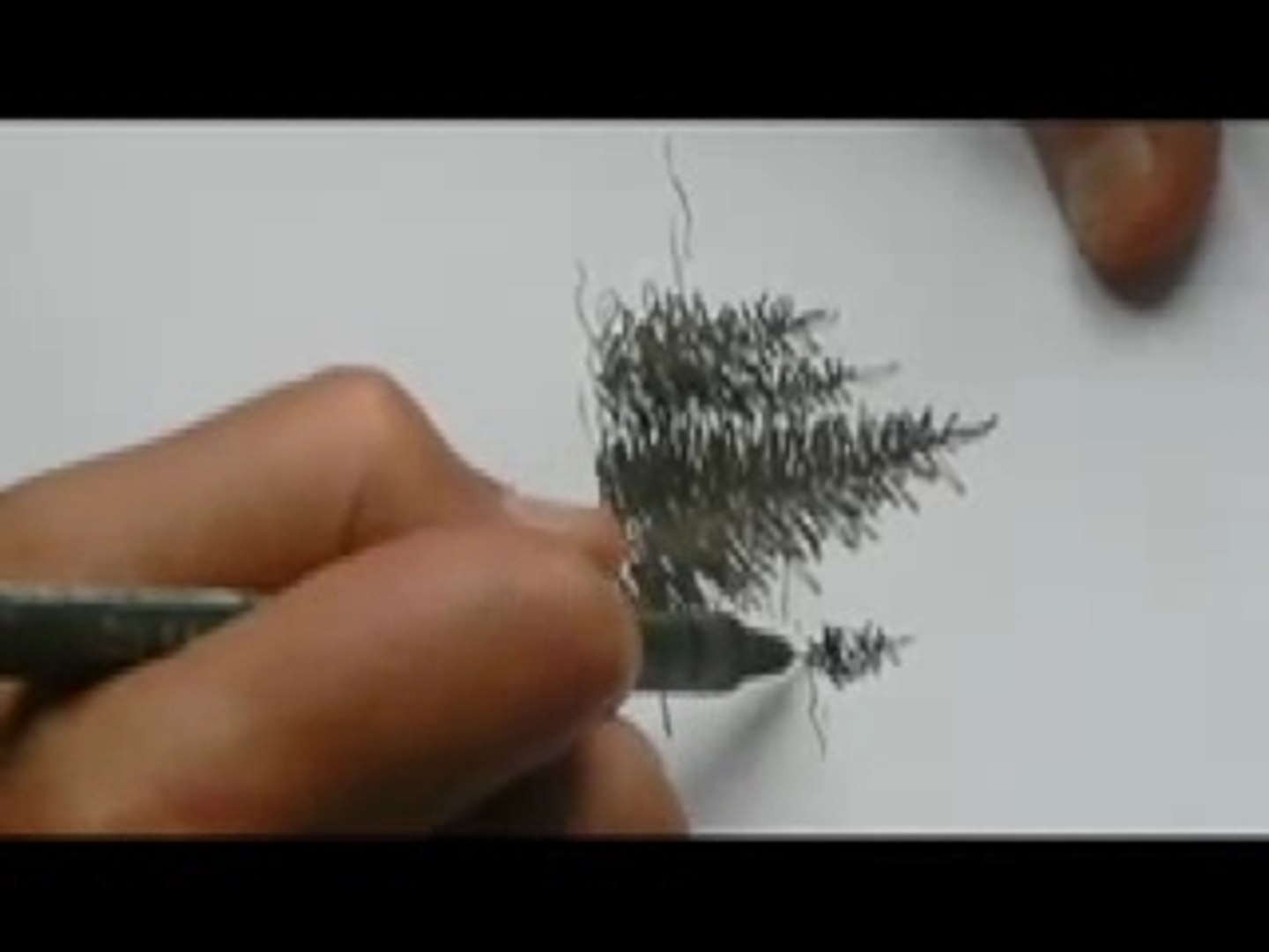 Comment Dessiner Une Forêt De Sapin Randocroquis : dessiner des sapins - Vidéo Dailymotion