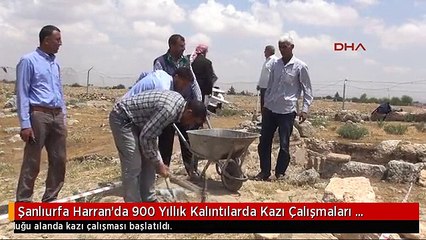 Şanlıurfa Harran'da 900 Yıllık Kalıntılarda Kazı Çalışmaları Başladı