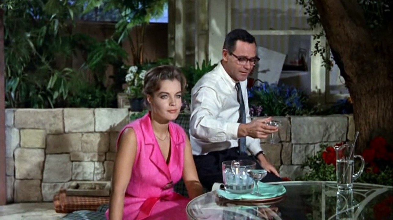 Good Neighbor Sam (1964) 3/3