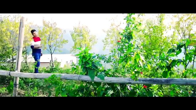 Chhodera Gain Malai Dhokebaj Le/New Nepali Lok Dohori Song