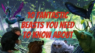 10 Fantastic Beasts You Need To Know - Fantastic Beasts Explained