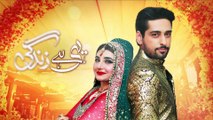 Yehi Hei Zindagi Season4 (Episode 28)