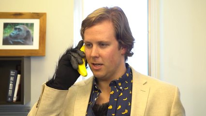 Banana Phone, el teléfono con forma de plátano para llamar la atención