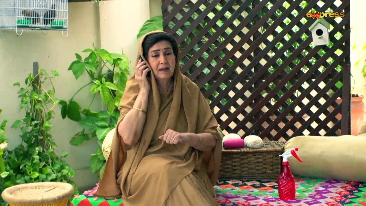 Apnay Paraye (Episode 02)