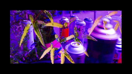 Effective Use of Visuals in Presentations