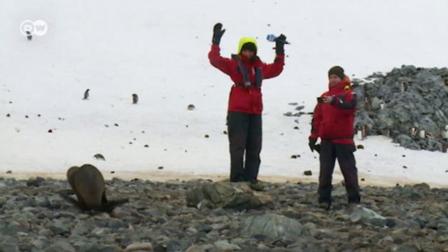 Bienal Antártica: erros de gravação e bastidores