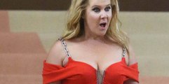 Was Amy Schumer Just Fat-Shamed Into Quitting A Movie?