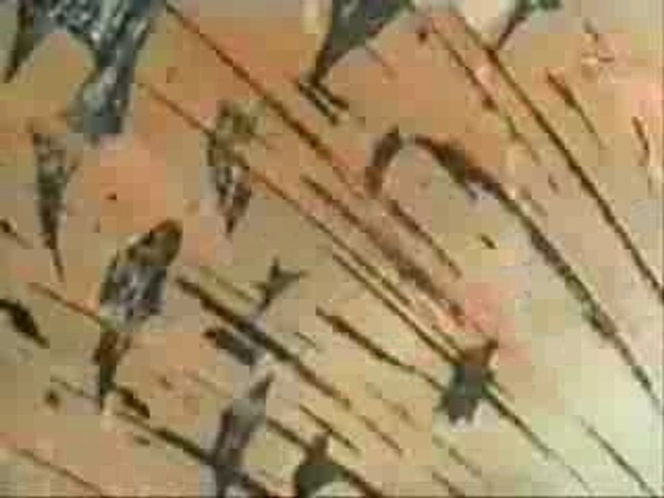 Goldorak - Générique 2