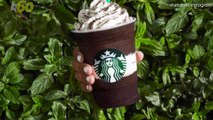 Starbucks Drinks for Summer with Less than 100 Calories
