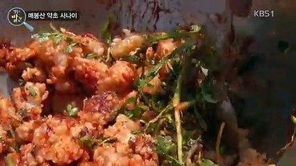 생활의 발견.E361.170504