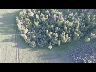 Did this drone cam just capture a Bigfoot sighting?!