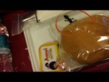 Lizard found in Air India meal on Delhi-London flight