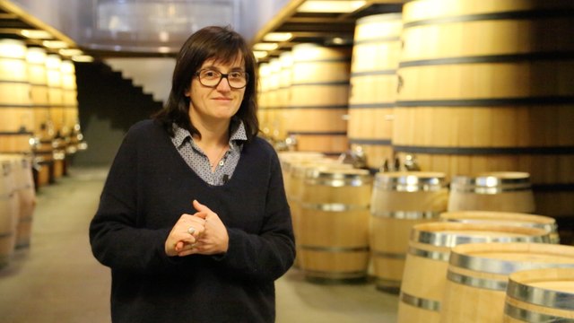 Les métiers du vin #2 : le maître de chai