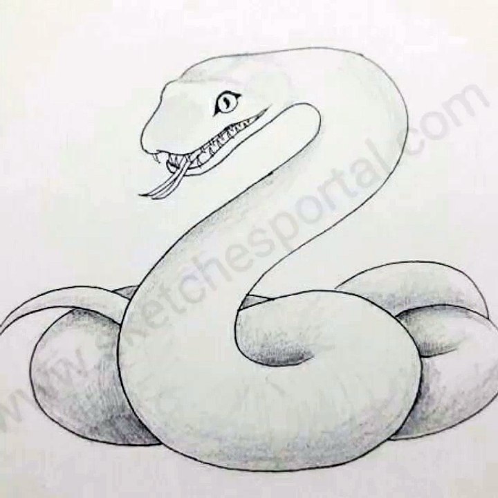How to Draw a Snake In 16 Steps