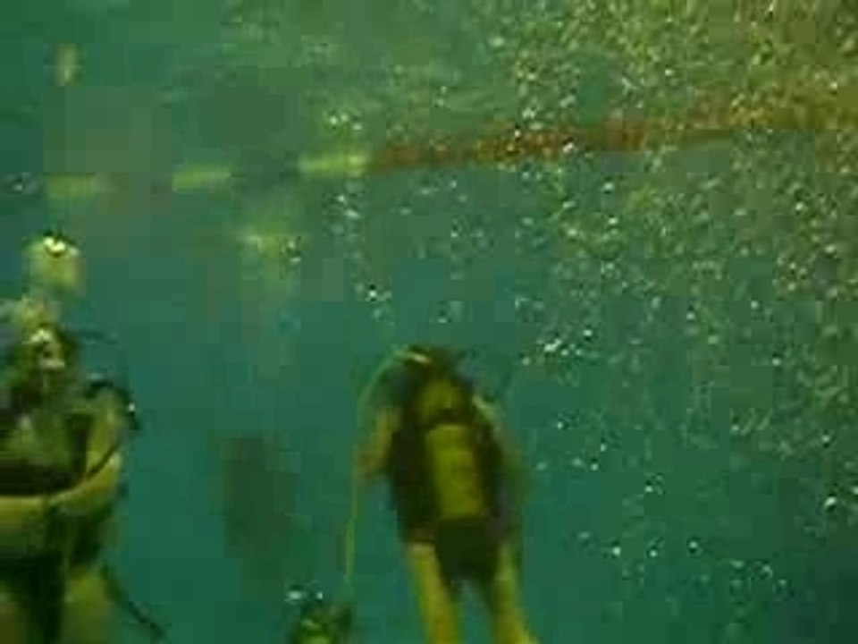 1er cours de plongée n2