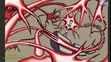 PROPAGACION DE UN IMPULSO NERVIOSO REPRESENTACION ANIMADA BIEN EXPLICADA