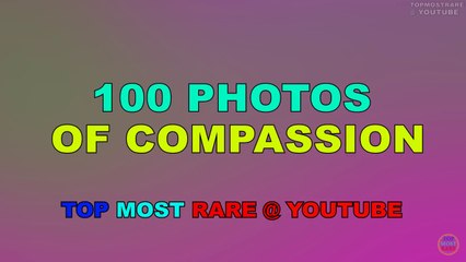 100 Moments That Will Restore Your Faith In Humanity