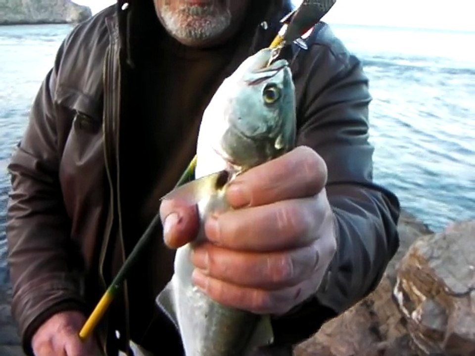 Kıyıdan - Lüfer Avı