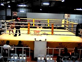 Техника тайского бокса