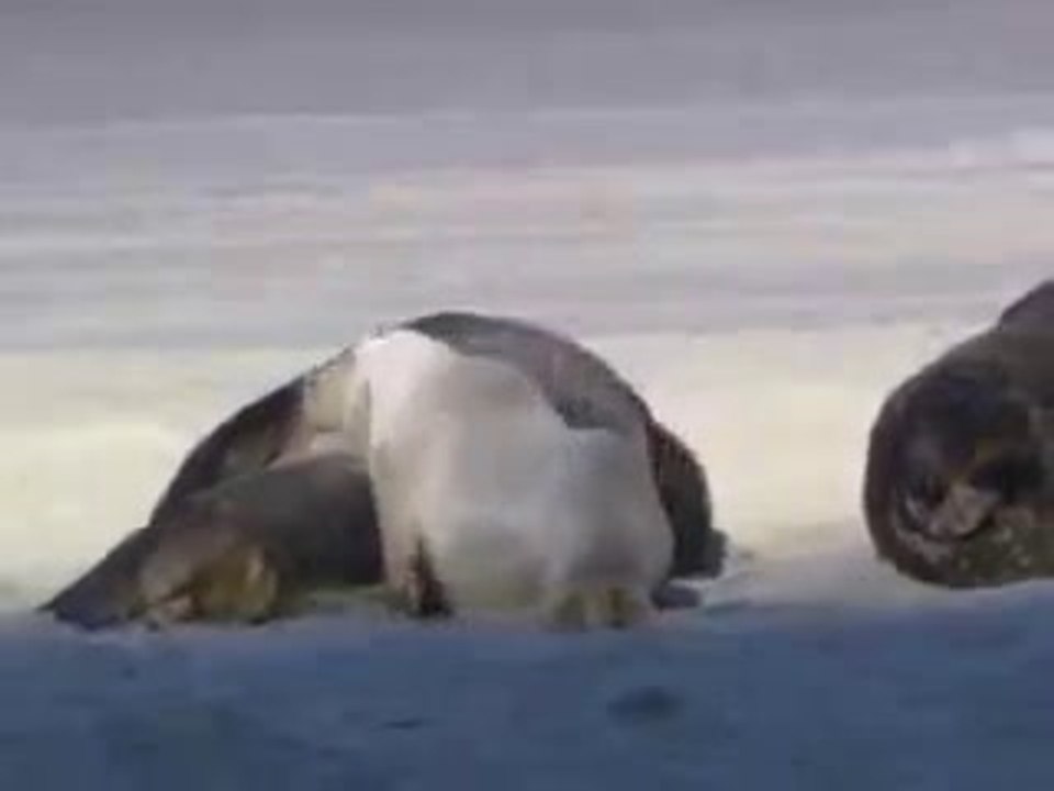 Fix Video1