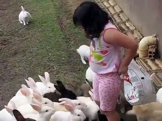 Herd of Bunnies Attack