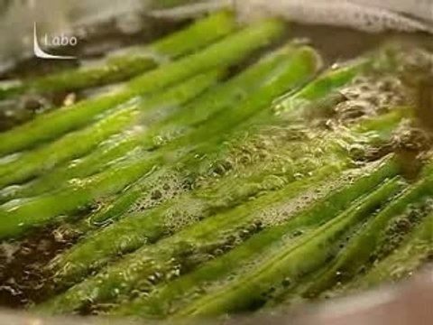 Comment conserver les haricots bien verts ?