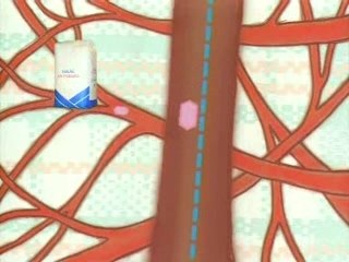 Quelle farine utiliser pour faire le pain ?