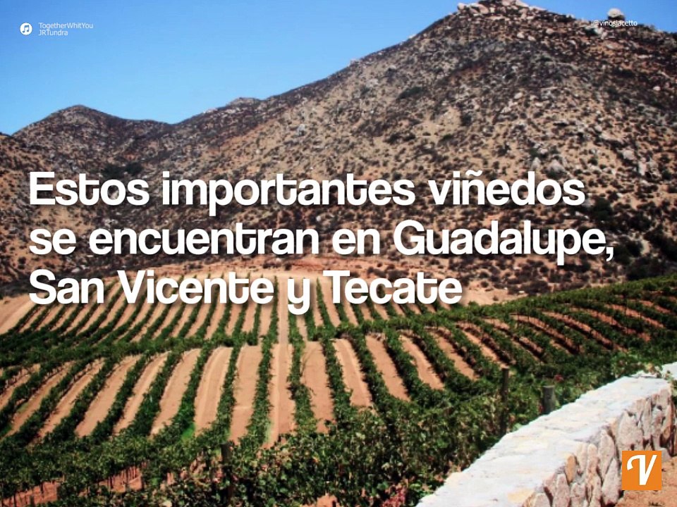 Destinos en México que debes visitar si eres amante del vino