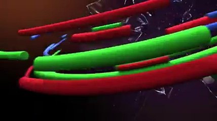 AVANCE DE DIA DE HOY DE ADDA DE ESTA NOCHE A LA 23HS. POR TELEFE !!! #RatingTrend