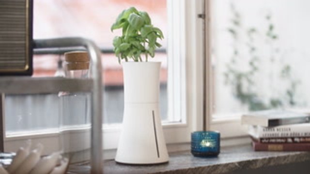 This gadget is perfect for those who struggle to keep plants alive