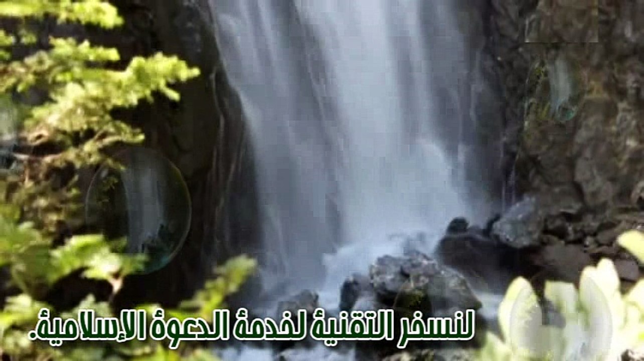 ترجمة الإمام ابن الحبيب الفقيه المالكي.